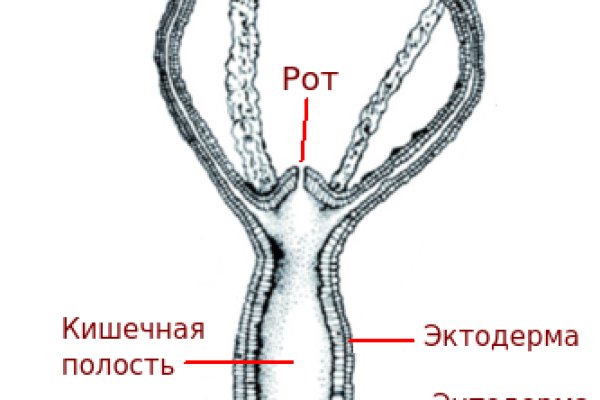 Кракен магазин зеркало
