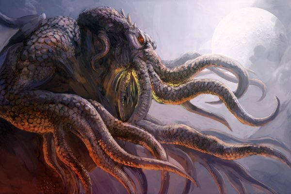 Kraken tor link