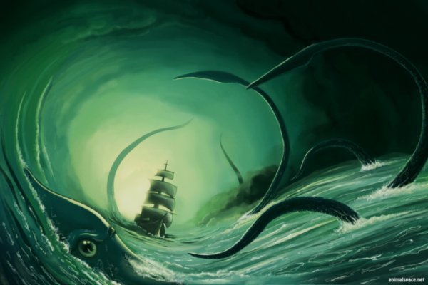 Kraken whitenet sliv php