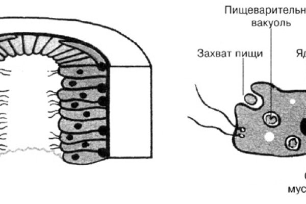 Как зарегистрироваться на кракене