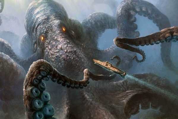 Kraken whitenet ссылка тор