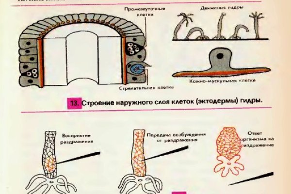 Вывести деньги с кракена