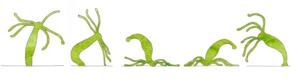 Kraken 4 ссылка
